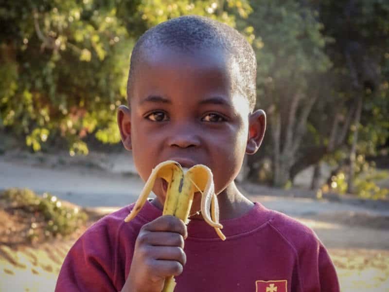 Orphan Eating Banana